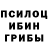 Галлюциногенные грибы мухоморы Evgeny Kolotushkin