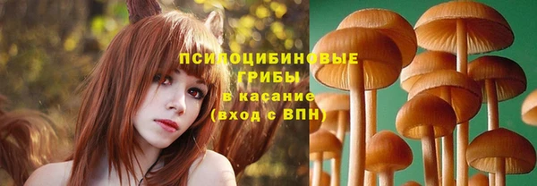 меф Зеленодольск