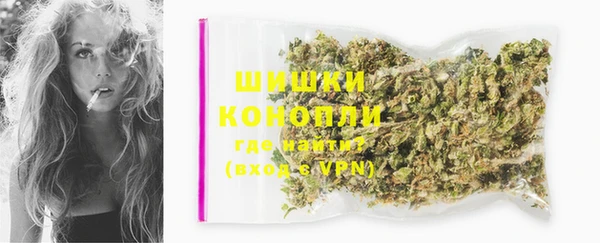 прущие грибы Иннополис