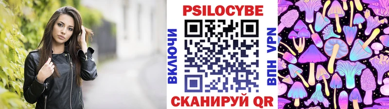 Купить где  Минусинск  Псилоцибиновые грибы GOLDEN TEACHER 